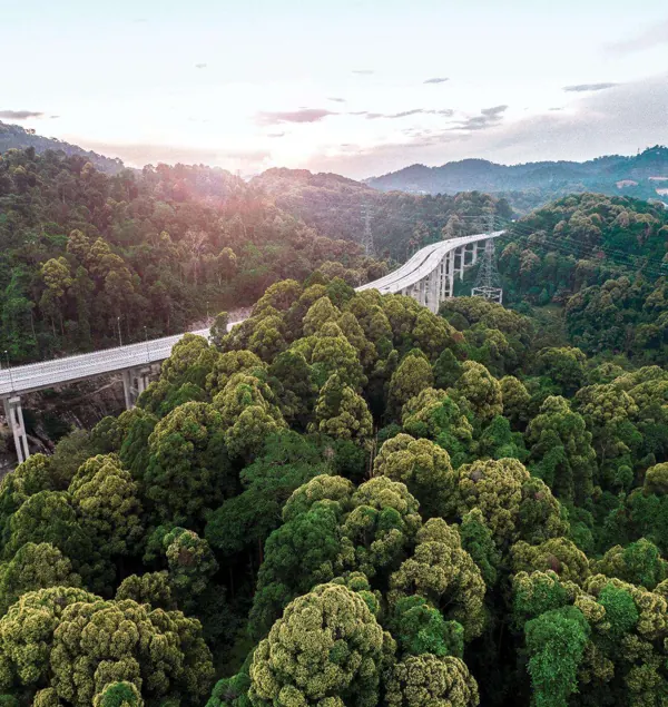 Botanica Hills, Rawang – gambar 6